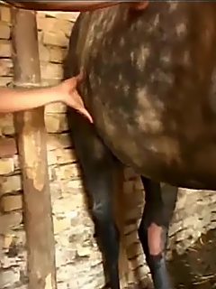 Girl sucking horse dick