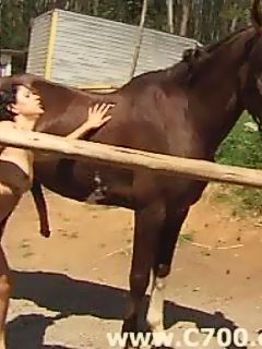 Woman sucking horse dick
