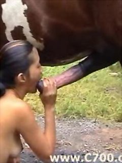 Big horse cock sex