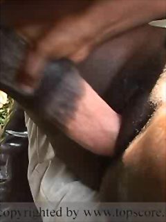 Boosty ebony milf puts entire horse cock into her pussy